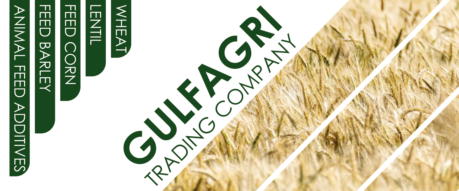 GULFAGRI-TRADE-COMPANY-SLIDE-1200 px-5+